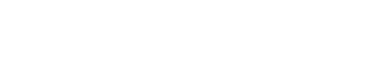 Logo blanc FH Autocars transparent last copie